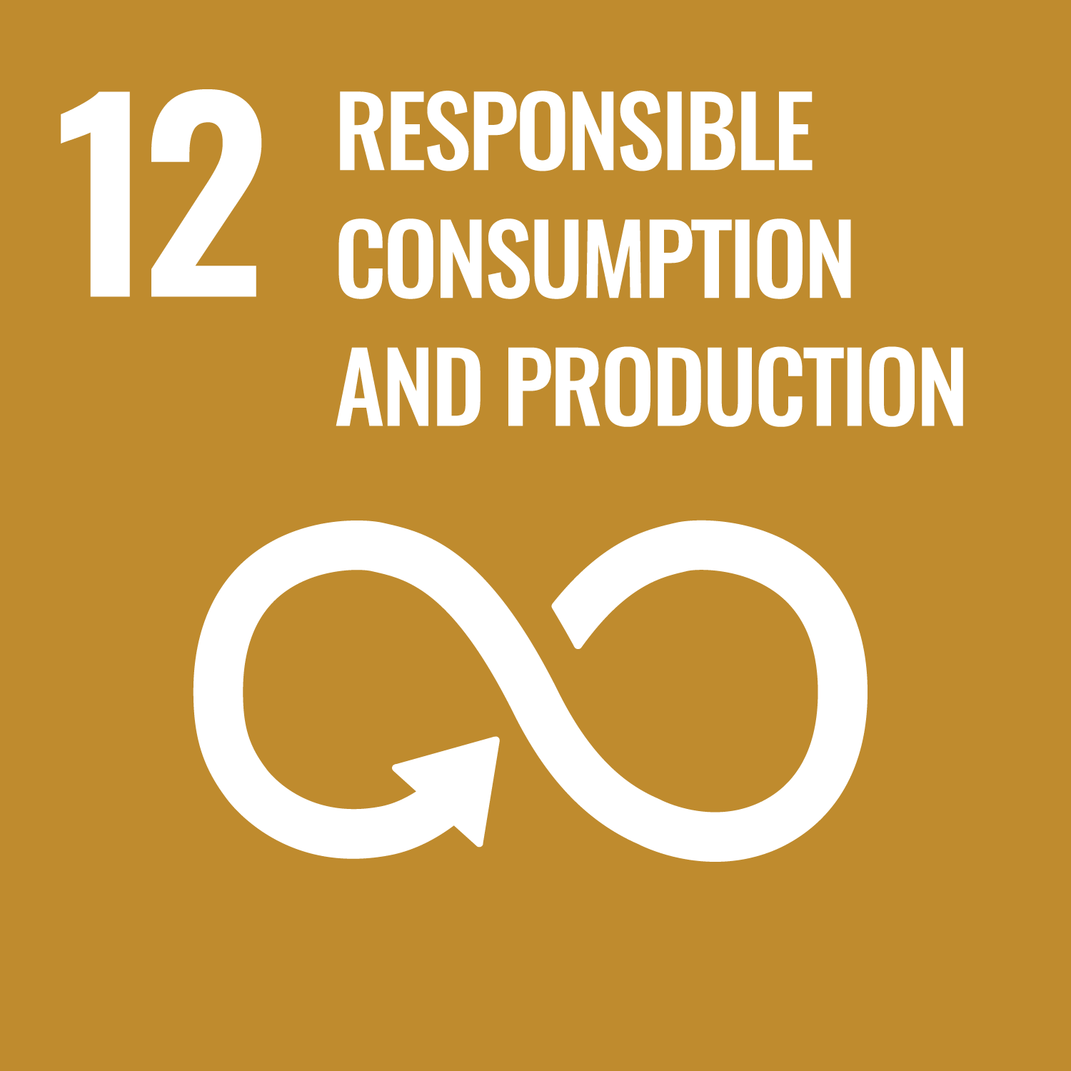 E-WEB-Goal-12 12 - Responsible consumption and production