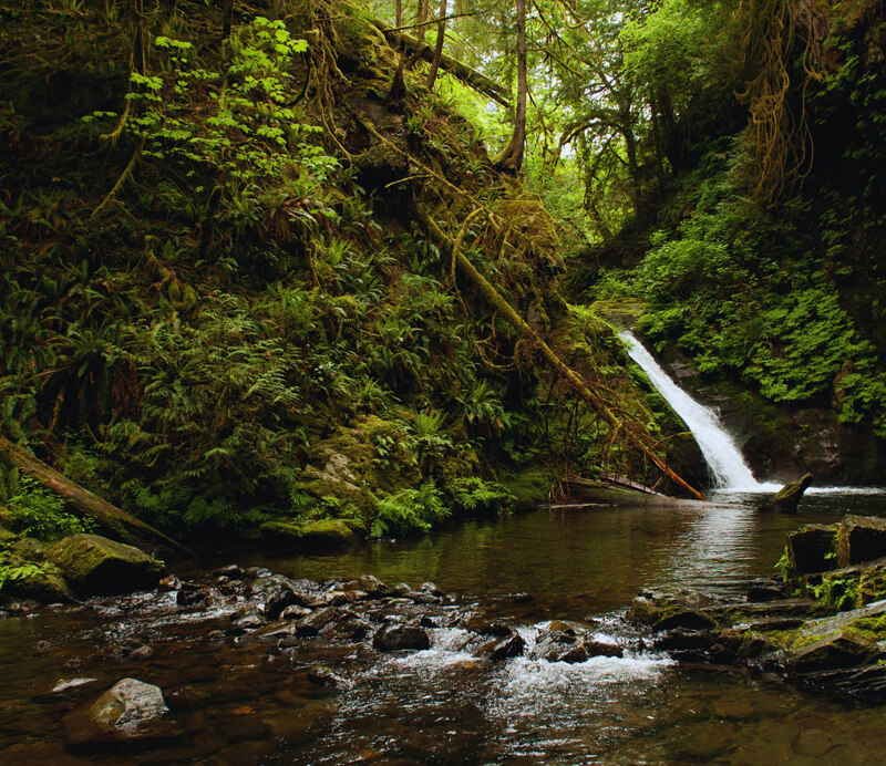 Environment and Sustainability Fund