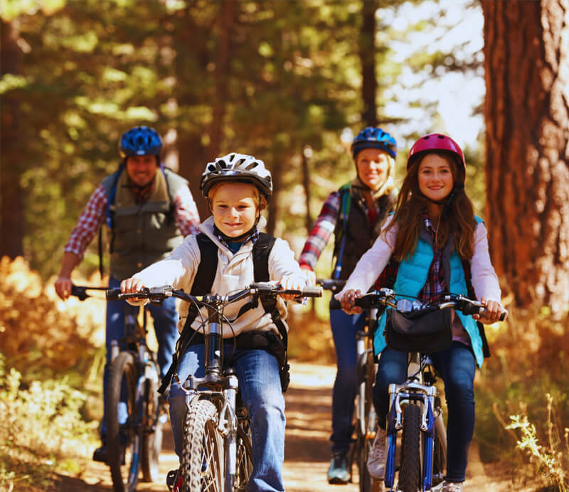 Health and Wellness Fund