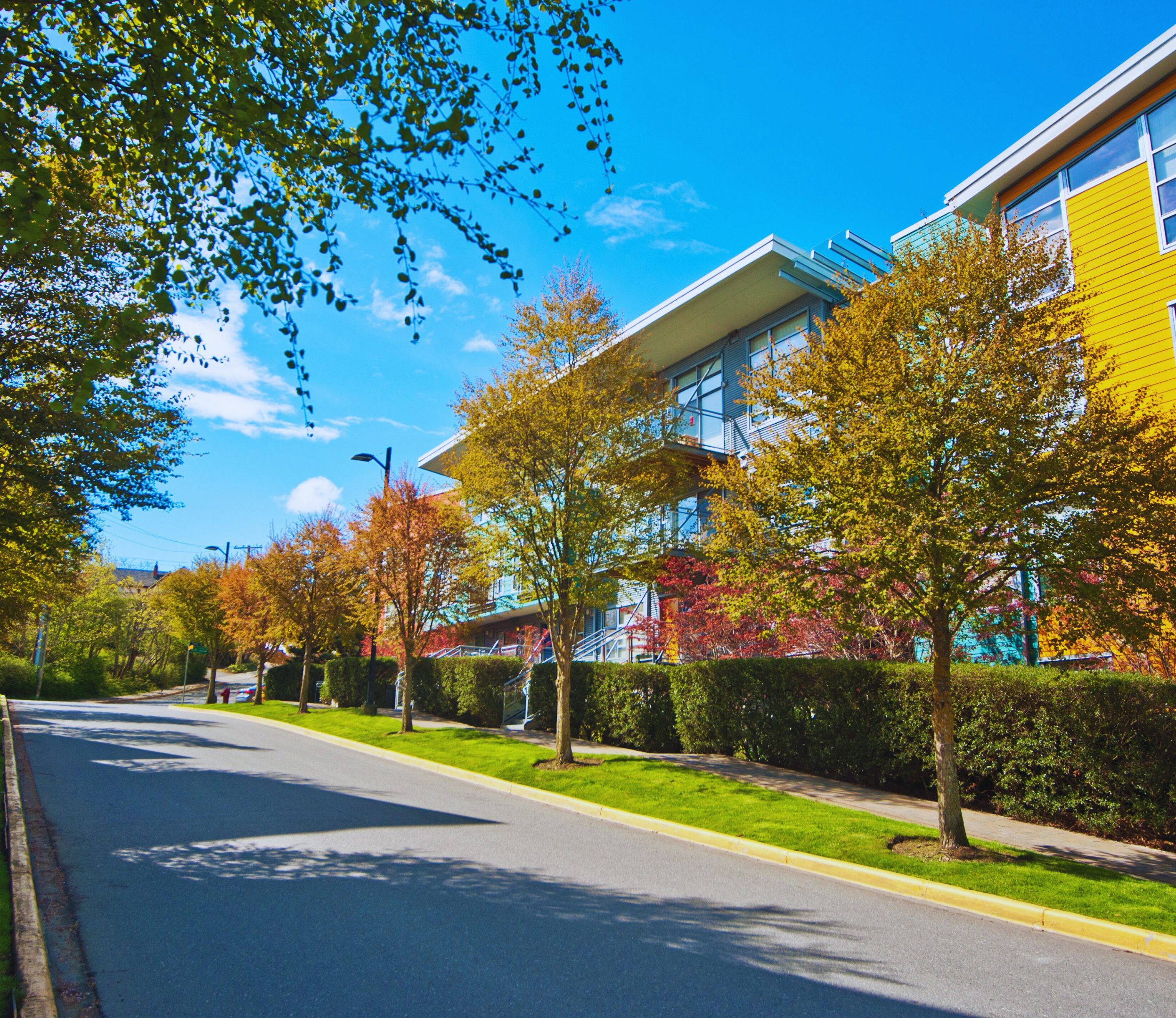 Townhouses_HousingCause_Header Townhouses on sunny street with trees.