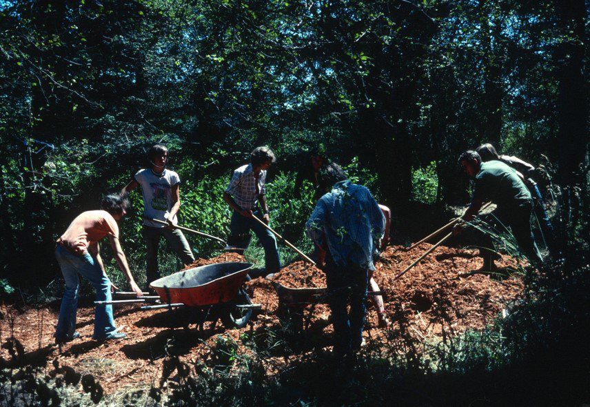 Community members restore the Swan Lake Nature Sanctary, in the woods, 1978.