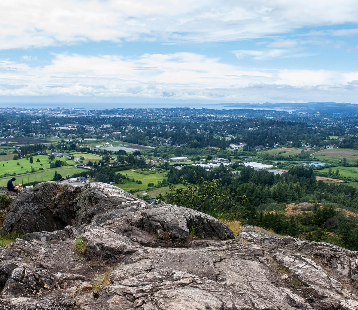 A view from the top of PKOLS (Mount Douglas Park).