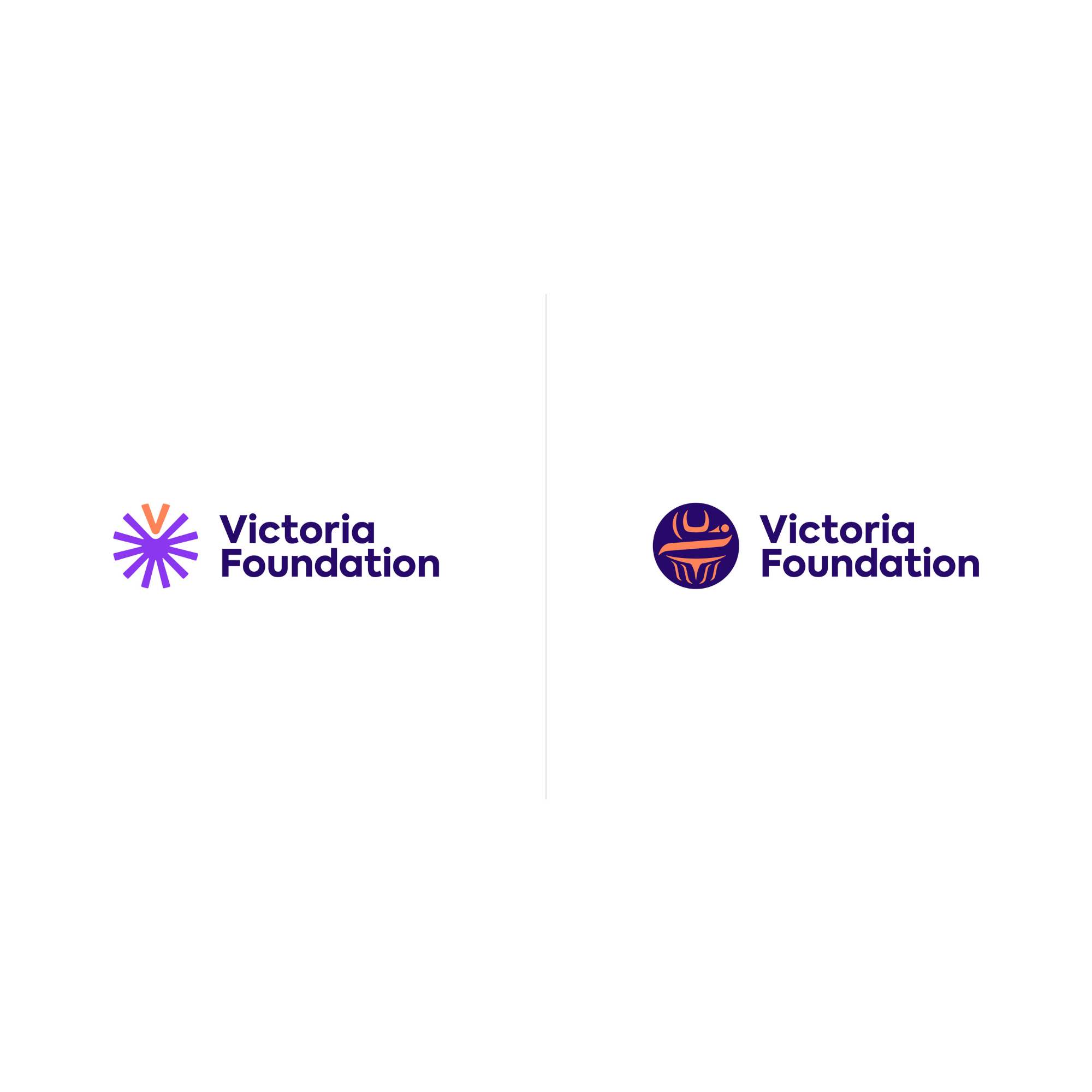 New Victoria Foundation Brand Identity and Indigenous Companion Logo