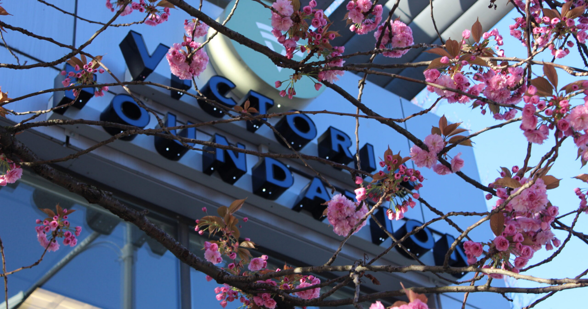 Victoria Foundation Building with Cherry Blossoms