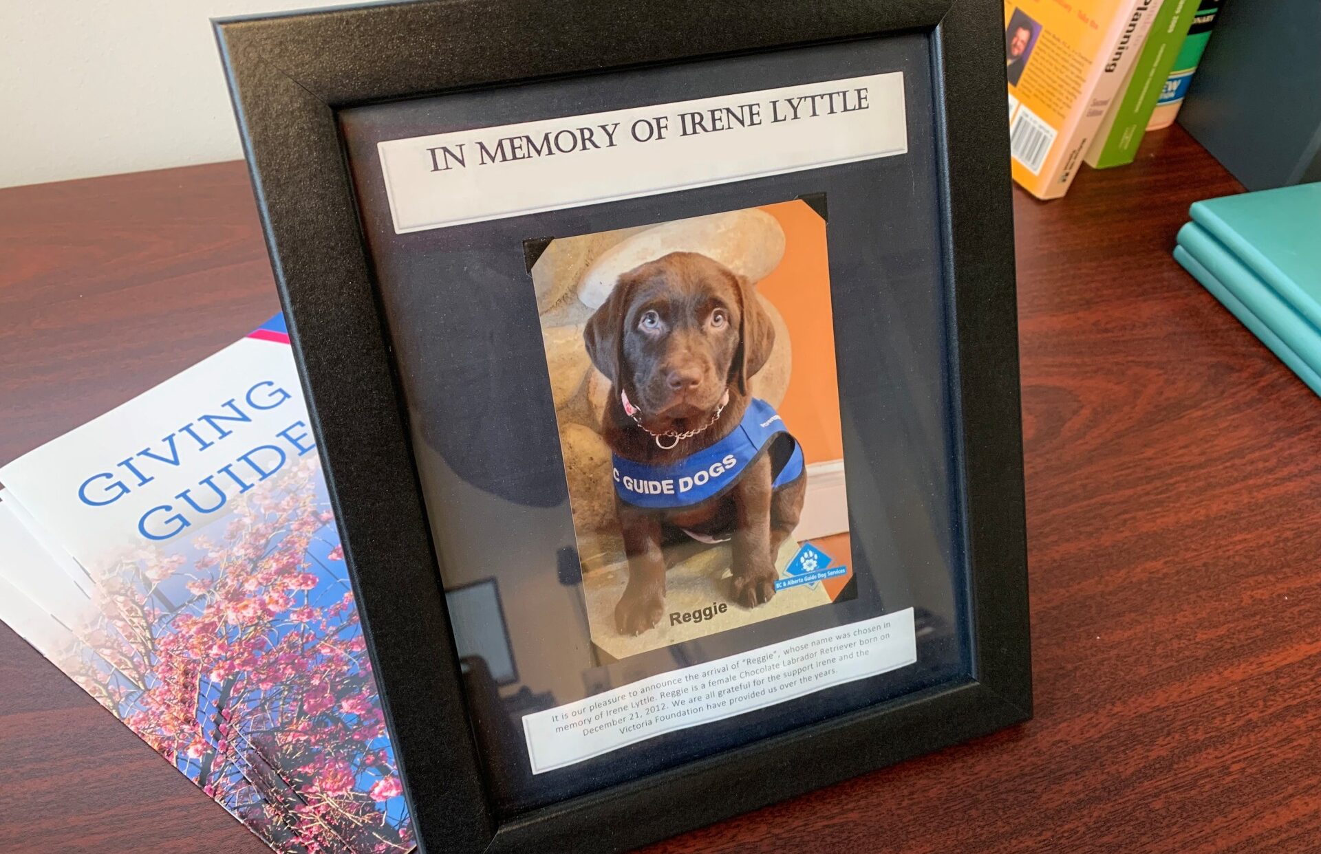 a framed portrait of a laborador retriever puppy named Reggie