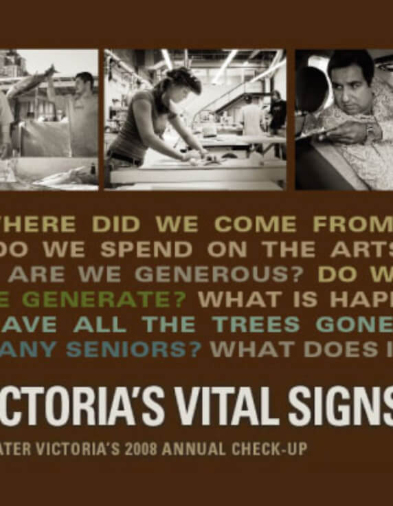 Vital Signs 2008 cover