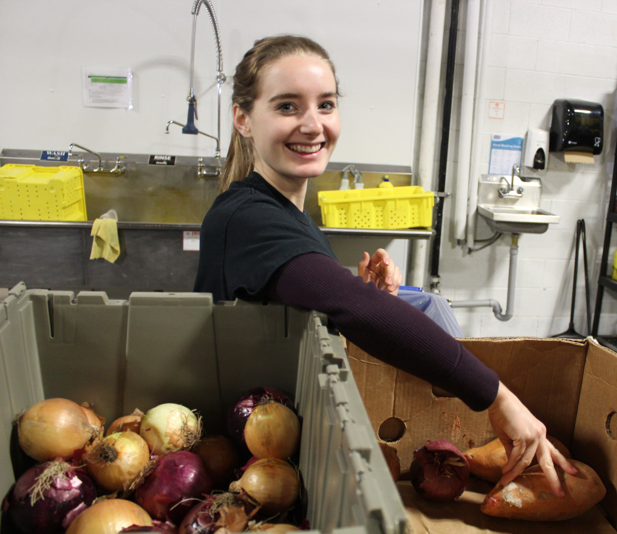 Food Hub Woman grabs a sweet potato at the South Island Food Hub